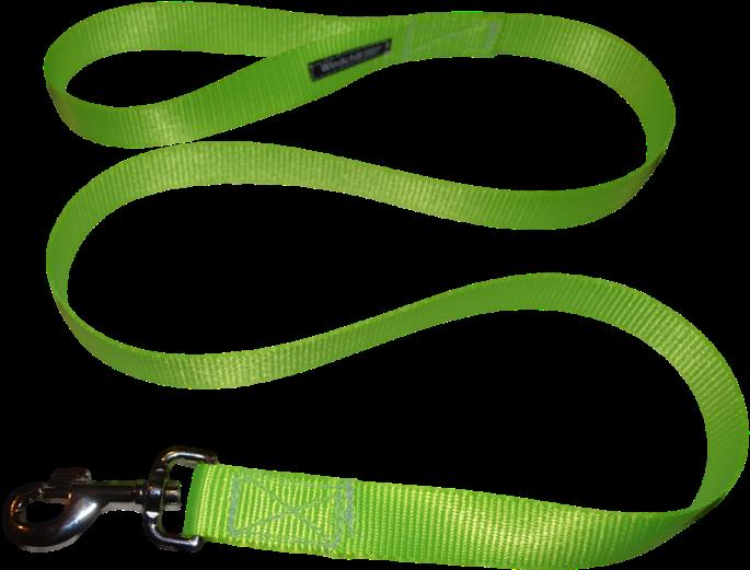 Pet Accessories